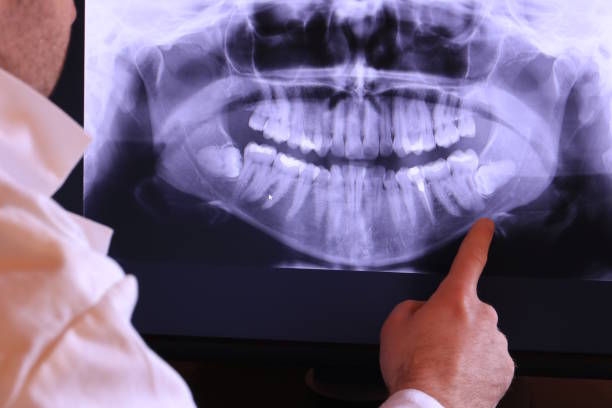 Best Emergency X-Rays and Diagnostics in Iva, SC